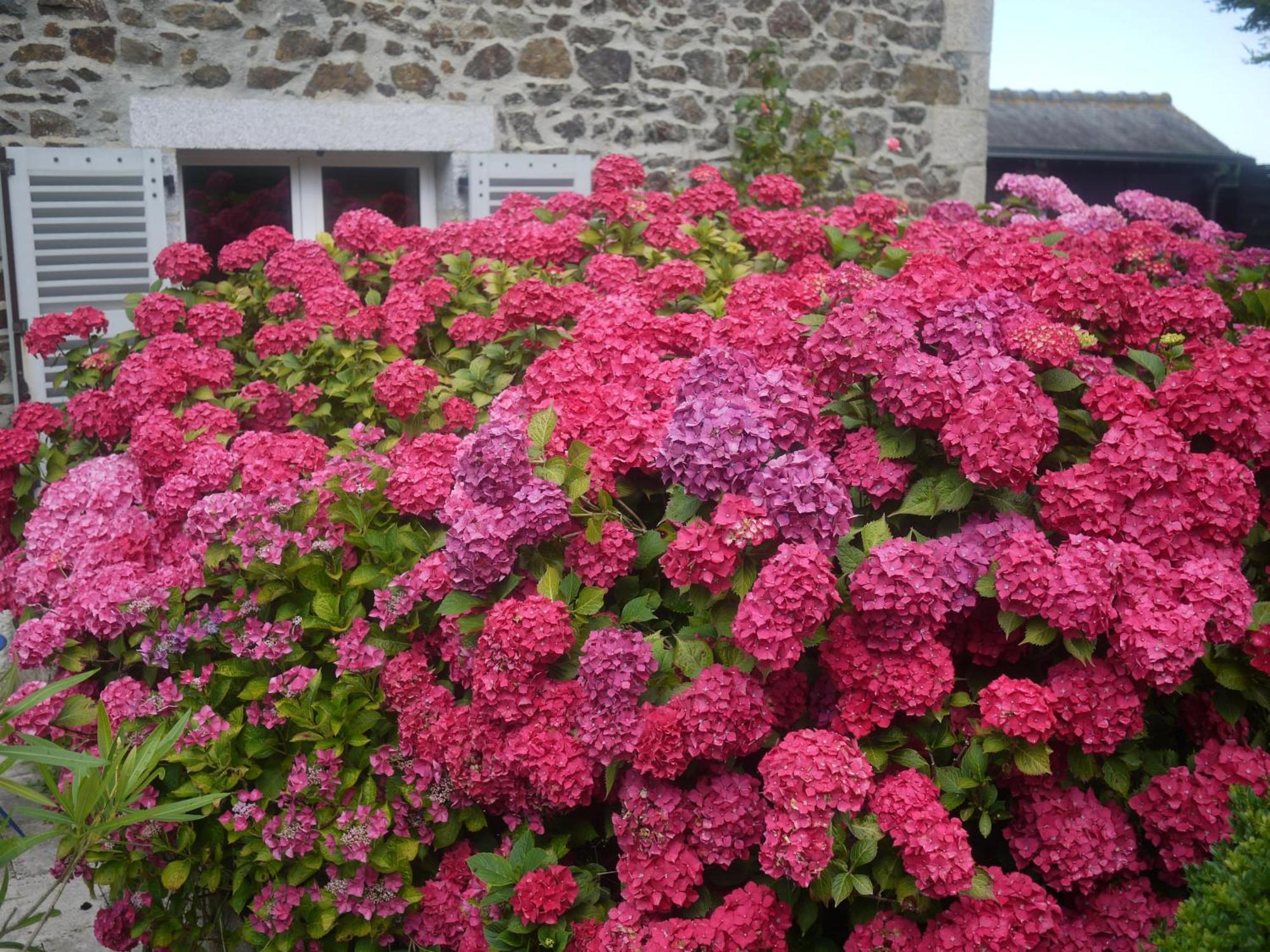 Nature, Mer, Golf & Decouvertes... Plouha Exterior photo